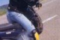 Suzuki 1200 Bandit Moto Motards wheelings burns stoppies