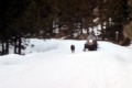 moto neige interdite France gouvernement hausse ton