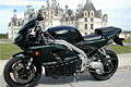Triumph Daytona 955i