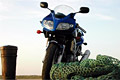 Suzuki SV 1000 S