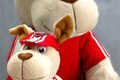 Ducati Cucciolo peluche collection