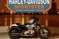 Harley Davidson Sportster livre