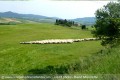 Italie Pise voyage carnet route Toscane