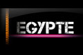 Annulation Sphinx Rally 2010 NPO