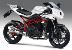 L'Enigma: la rencontre entre une Bimota et un moteur de Triumph