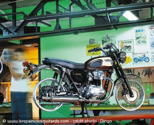 Kawasaki : les 7 péchés capitaux en photos : avarice