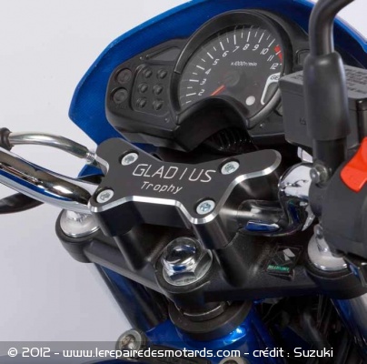 Suzuki Gladius Trophy Replica