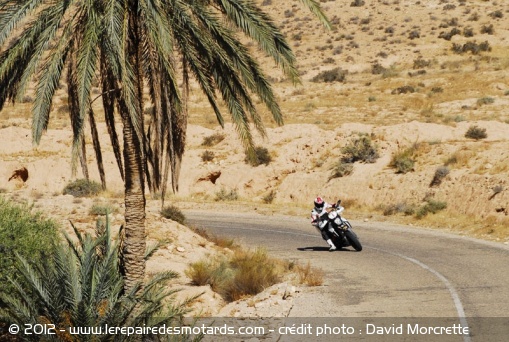 Tunisia Rally Tour : victoire étape 5 de Nuques