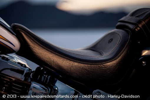 Custom Harley-Davidson CVO Softail Deluxe