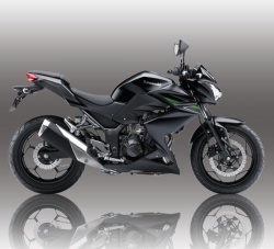 Roadster Kawasaki Z250