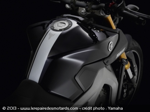 Roadster Yamaha MT-09