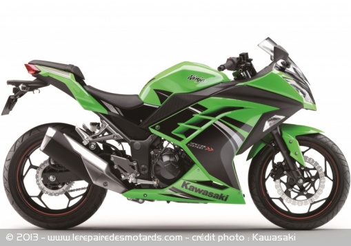 Sportive Kawasaki Ninja 300 Special Edition