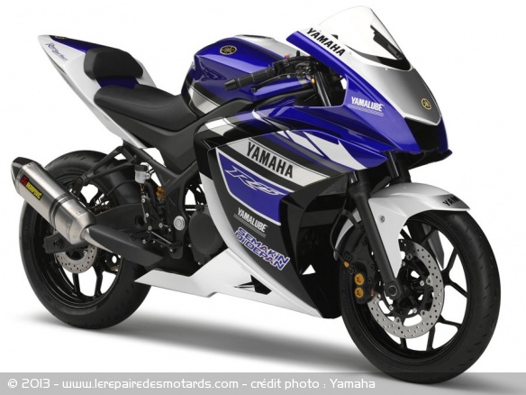 Sportive Yamaha R25