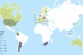 Mortalité accidentalité routière monde