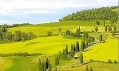 Le tour operator de la moto