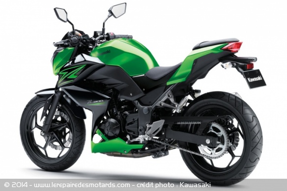 Roadster Kawasaki Z300
