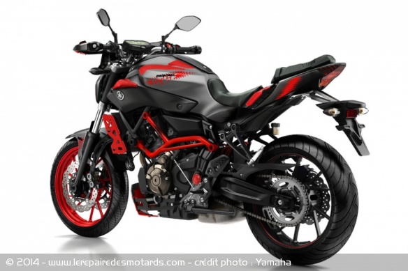 Yamaha MT-07 Moto Cage