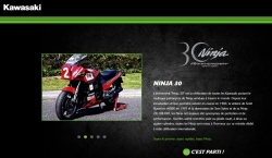 Un site pour les 30 ans du Ninja