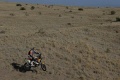Dakar Coma tête