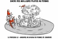 Les parisiens bonnets âne