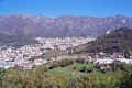 actualites