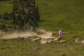 Un procès pièges chemins