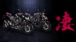 Kawasaki Z800 et Z1000 