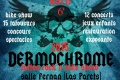 Dermochrome Festival
