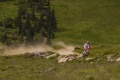 Pièges chemins 200 euros amende requis