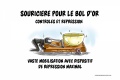 Souricières Bol Or