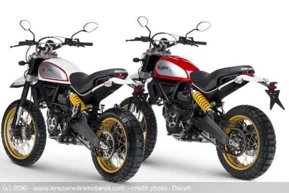 Ducati Scrambler Desert Sledge Ducati Scrambler Desert Sled
