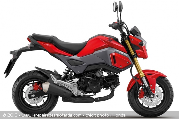 Le nouveau look du MSX125 pour 2016 Le nouveau look du MSX125 pour 2016