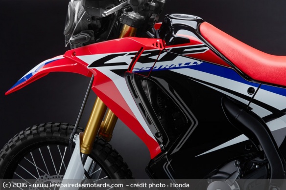 Ecopes du CRF 250 Rally