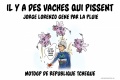 Il pleut vache pisse