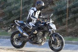 La KTM Duke 790 en développement - Crédit photo : MoreBikes
