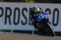 WSS victoire Caricasulo