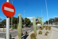 Ambiance mag attention cactus !