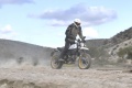 Ducati Scrambler Desert Sled