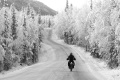 Hivernale solitaire
