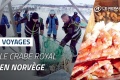 Pêche crabe royal