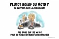 Crobard Plutôt boeuf moto ?