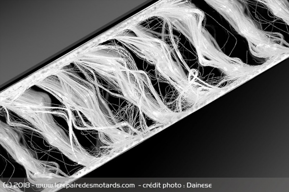 Les microfilaments empèchent la déformation du coussin Les microfilaments empèchent la déformation du coussin