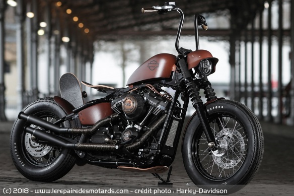 Street Bob Art's - Street Bob Street Bob Art's - Street Bob