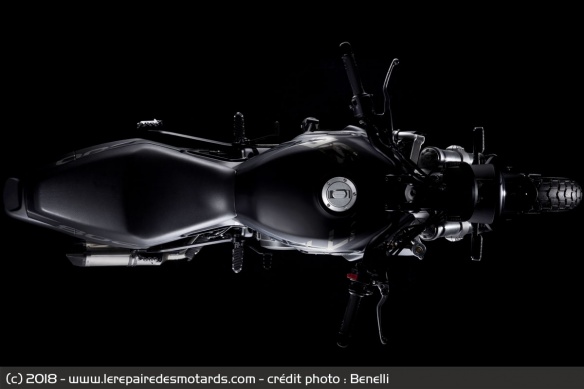 Concept Benelli Leoncino 800 Concept Benelli Leoncino 800