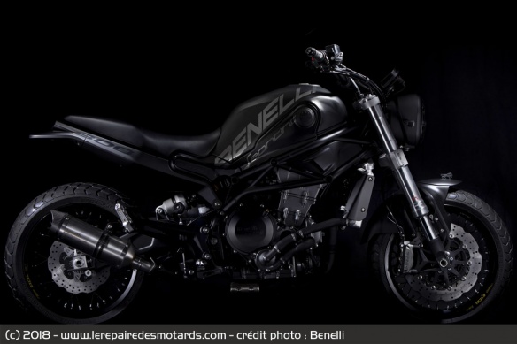 Concept Benelli Leoncino 800 Concept Benelli Leoncino 800