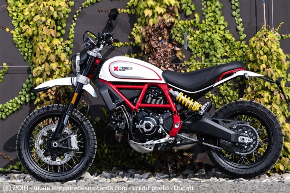 Ducati Scrambler Desert Sled