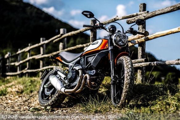 Ducati Scrambler Icon Ducati Scrambler Icon