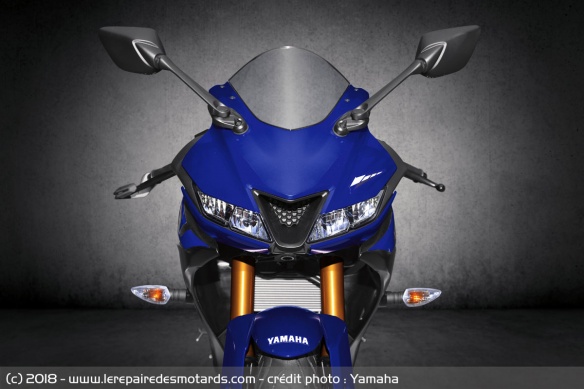 Sportive Yamaha YZF-R125 Sportive Yamaha YZF-R125