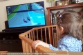 MotoGP bébé power