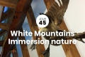 White Mountains J45